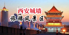 入屄日韩中国陕西-西安城墙旅游风景区