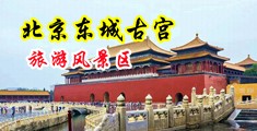 欧美黑人操金发美女在线视频中国北京-东城古宫旅游风景区